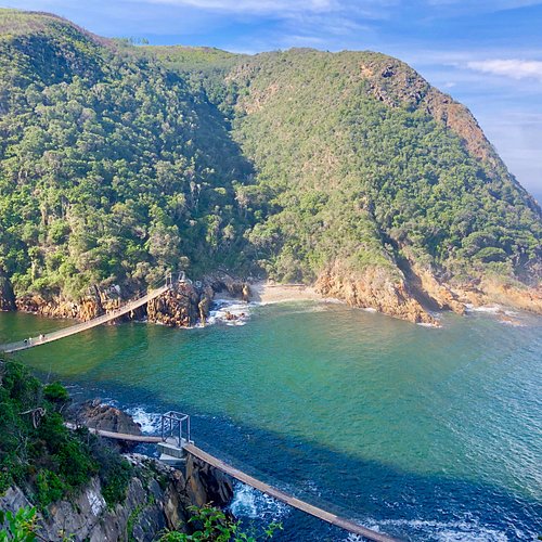Tsitsikamma Suspension Bridges & Forest Walk